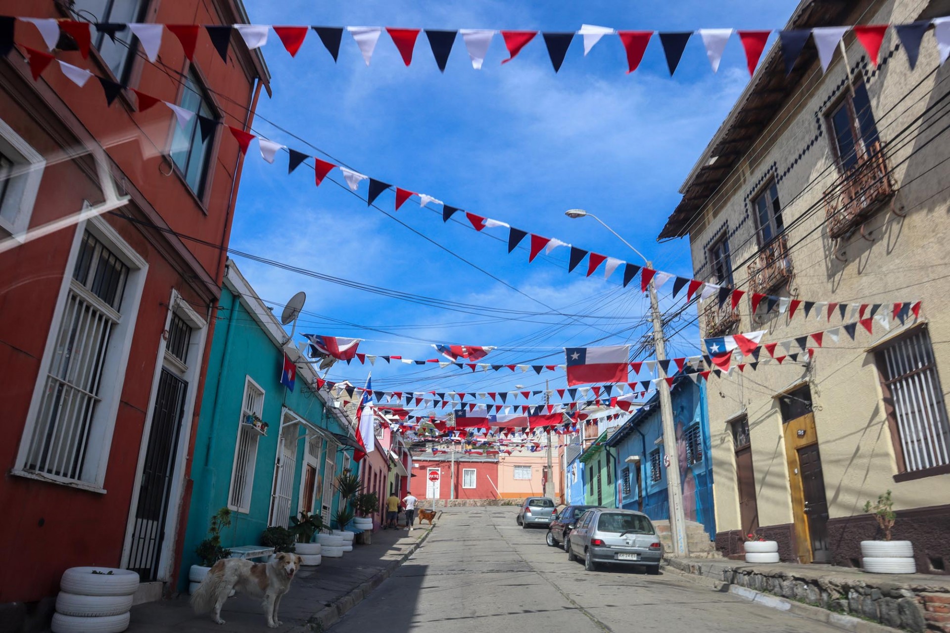 Valpo Tricolor